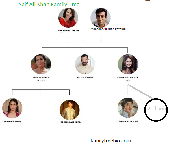 Saif Ali Khan family tree Pic
